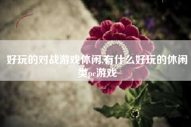 好玩的对战游戏休闲,有什么好玩的休闲类pc游戏