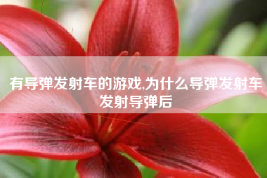 有导弹发射车的游戏,为什么导弹发射车发射导弹后