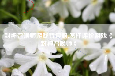 封神召唤师游戏暂停服,怎样评价游戏《封神召唤师》