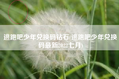 逃跑吧少年兑换码钻石(逃跑吧少年兑换码最新2022七月)