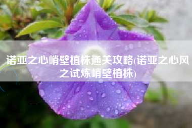 诺亚之心峭壁植株通关攻略(诺亚之心风之试炼峭壁植株)