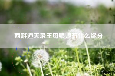 西游道天录王母娘娘有什么缘分