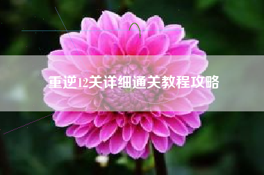重逆12关详细通关教程攻略