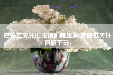 魔兽世界怀旧服锡矿哪里多(魔兽世界怀旧服下载)
