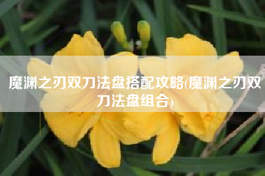 魔渊之刃双刀法盘搭配攻略(魔渊之刃双刀法盘组合)