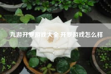 九游开罗游戏大全,开罗游戏怎么样