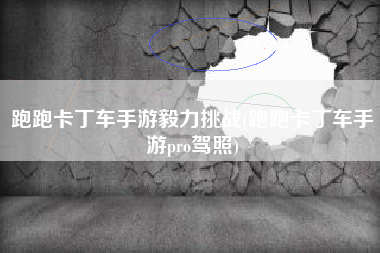 跑跑卡丁车手游毅力挑战(跑跑卡丁车手游pro驾照)