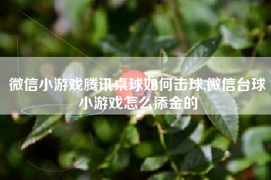 微信小游戏腾讯桌球如何击球,微信台球小游戏怎么添金的