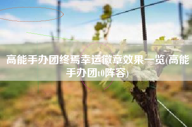 高能手办团终焉幸运徽章效果一览(高能手办团t0阵容)