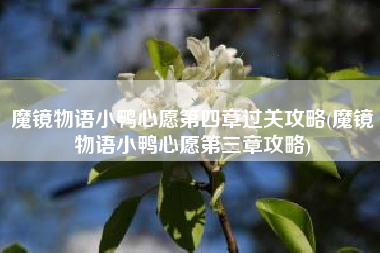 魔镜物语小鸭心愿第四章过关攻略(魔镜物语小鸭心愿第三章攻略)