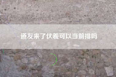 道友来了伏羲可以当前排吗