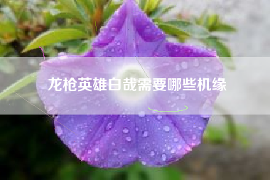 龙枪英雄白哉需要哪些机缘