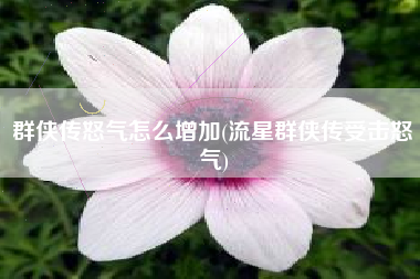 群侠传怒气怎么增加(流星群侠传受击怒气)