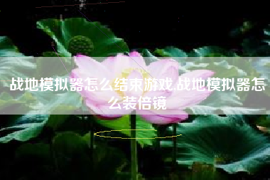 战地模拟器怎么结束游戏,战地模拟器怎么装倍镜