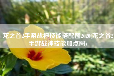 龙之谷2手游战神技能搭配图2020(龙之谷2手游战神技能加点图)