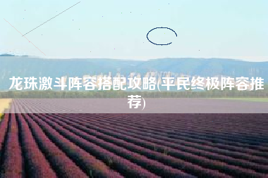 龙珠激斗阵容搭配攻略(平民终极阵容推荐)