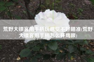 荒野大镖客用手柄玩感觉不好瞄准(荒野大镖客用手柄怎么开鹰眼)