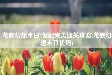 龙族幻想末日4低配完美通关攻略(龙族幻想末日代码)