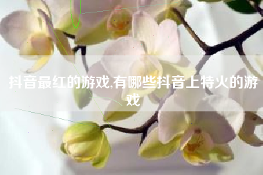 抖音最红的游戏,有哪些抖音上特火的游戏