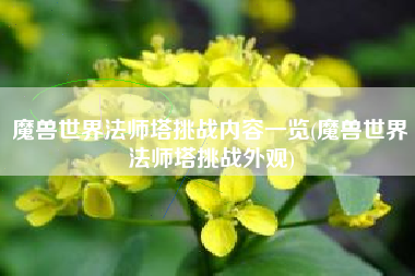 魔兽世界法师塔挑战内容一览(魔兽世界法师塔挑战外观)