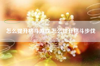 怎么提升格斗游戏,怎么提升格斗步伐