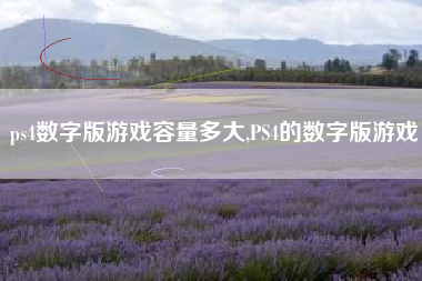 ps4数字版游戏容量多大,PS4的数字版游戏