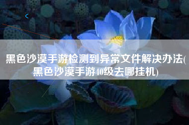 黑色沙漠手游检测到异常文件解决办法(黑色沙漠手游40级去哪挂机)