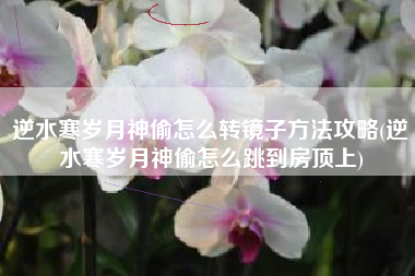 逆水寒岁月神偷怎么转镜子方法攻略(逆水寒岁月神偷怎么跳到房顶上)