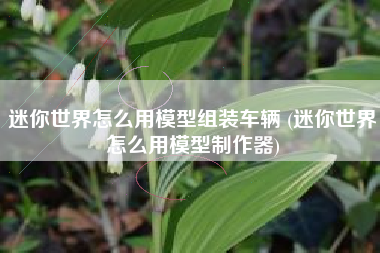 迷你世界怎么用模型组装车辆 (迷你世界怎么用模型制作器)