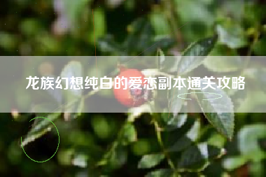 龙族幻想纯白的爱恋副本通关攻略
