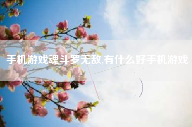 手机游戏魂斗罗无敌,有什么好手机游戏