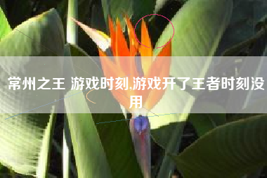 常州之王 游戏时刻,游戏开了王者时刻没用