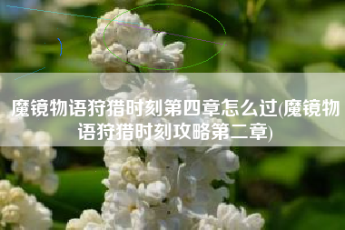 魔镜物语狩猎时刻第四章怎么过(魔镜物语狩猎时刻攻略第二章)