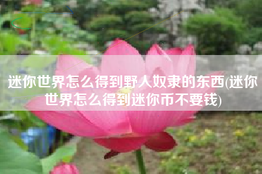 迷你世界怎么得到野人奴隶的东西(迷你世界怎么得到迷你币不要钱)