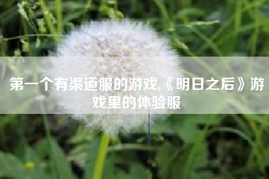 第一个有渠道服的游戏,《明日之后》游戏里的体验服