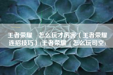 王者荣耀暃怎么玩才厉害（王者荣耀暃连招技巧）(王者荣耀暃怎么玩司空)