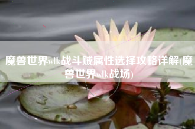 魔兽世界wlk战斗贼属性选择攻略详解(魔兽世界wlk战场)