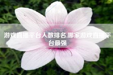 游戏直播平台人数排名,哪家游戏直播平台最强