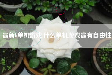 最新h单机游戏,什么单机游戏最有自由性
