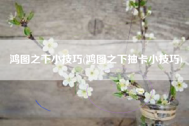 鸿图之下小技巧(鸿图之下抽卡小技巧)