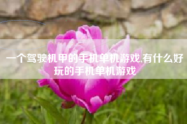 一个驾驶机甲的手机单机游戏,有什么好玩的手机单机游戏