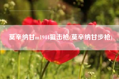 莫辛纳甘m1944狙击枪(莫辛纳甘步枪)