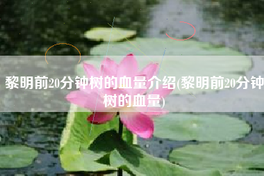黎明前20分钟树的血量介绍(黎明前20分钟树的血量)