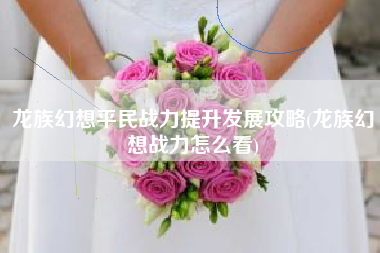 龙族幻想平民战力提升发展攻略(龙族幻想战力怎么看)