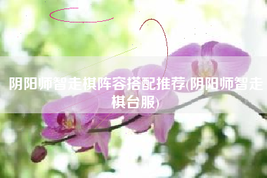 阴阳师智走棋阵容搭配推荐(阴阳师智走棋台服)