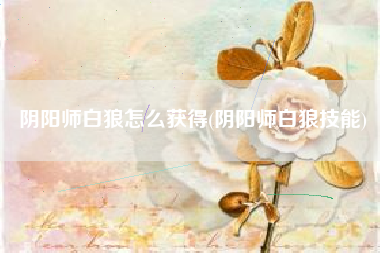 阴阳师白狼怎么获得(阴阳师白狼技能)