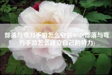 部落与弯刀手游怎么安装MOD(部落与弯刀手游怎么建立自己的势力)
