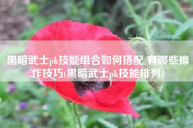 黑暗武士pk技能组合如何搭配 有哪些操作技巧(黑暗武士pk技能排列)