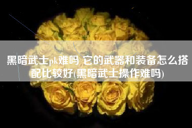 黑暗武士pk难吗 它的武器和装备怎么搭配比较好(黑暗武士操作难吗)