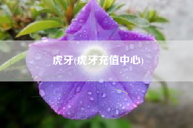 虎牙(虎牙充值中心)